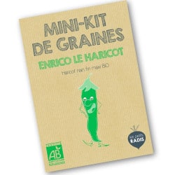 Graines de haricots bio pour enfants