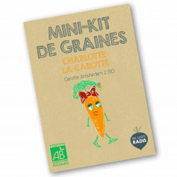 graines de carottes BIO