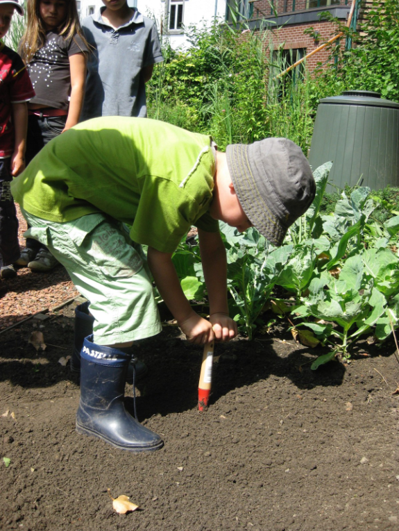 atelier potager école