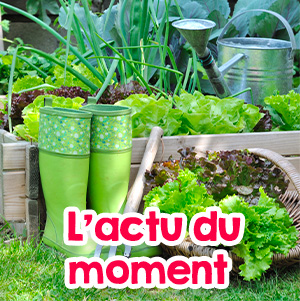 actualités et nouveautés