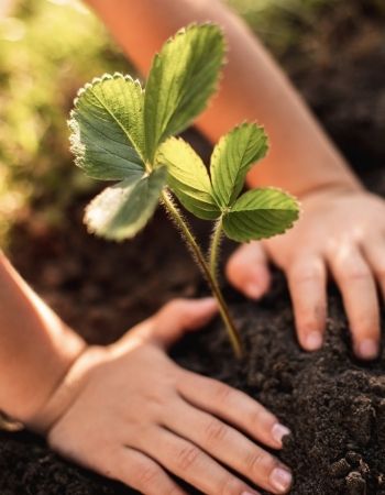 box jardinage enfant