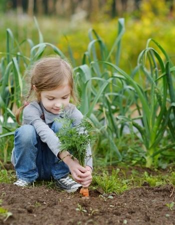 box potager pour enfant