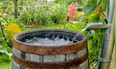 Fabriquer un système pour récupérer l'eau de pluie