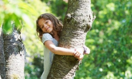 Reconnaître quelques arbres lors d'une promenade en forêt
