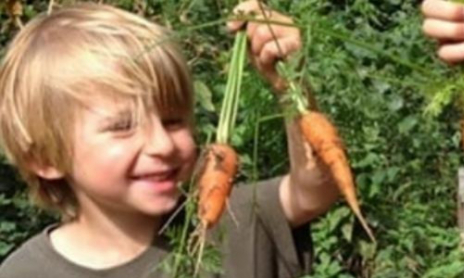 Planter au potager en avril avec les enfants