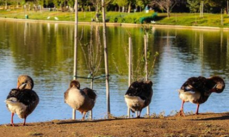 5 jeux indispensables pour passer de belles vacances en famille