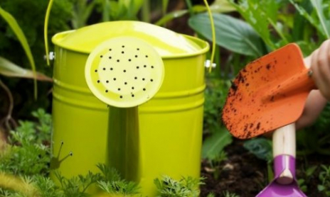 Apprendre en faisant : 6 raisons de s’intéresser à la pédagogie active