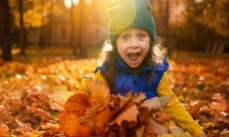 Que faire de toutes ces feuilles???