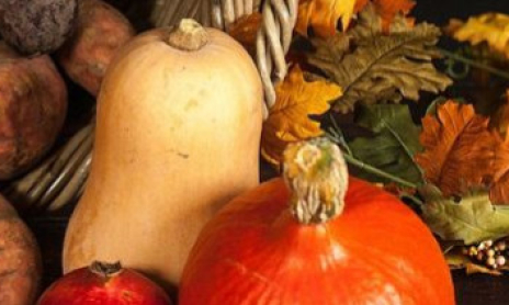 Les légumes de saison du mois de novembre