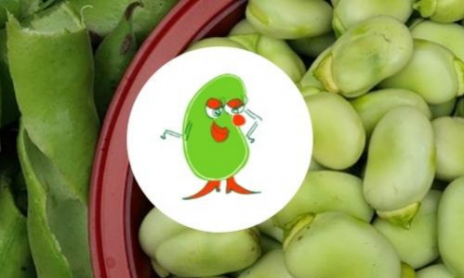 Semer des graines de fèves