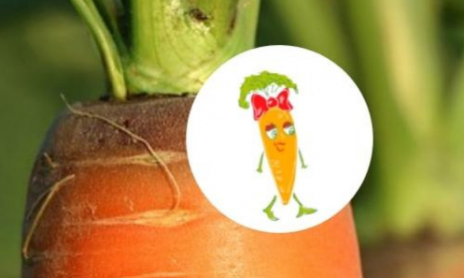 Charlotte la Carotte