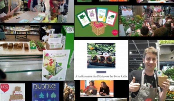 Les bons moments des Petits Radis en 2017